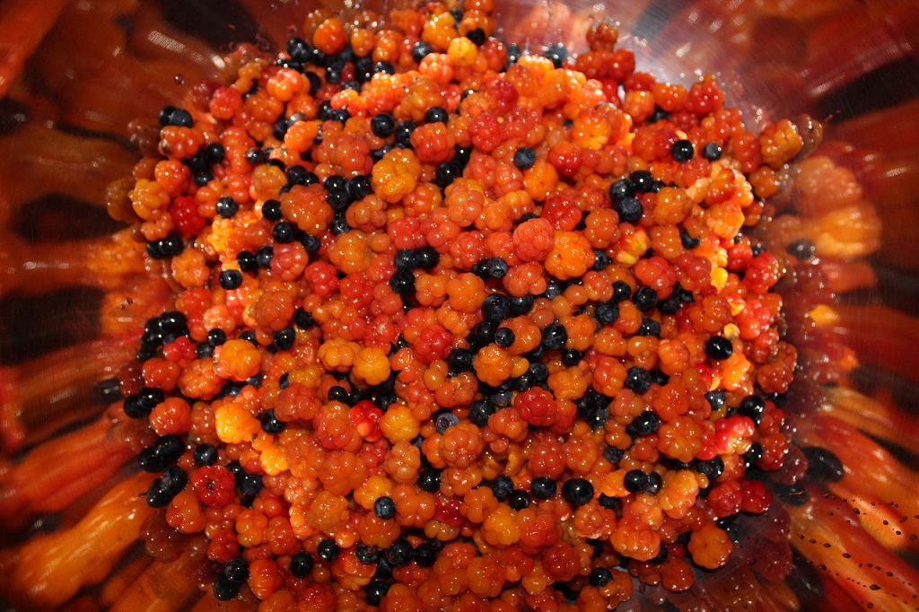 what-happens-to-the-body-when-you-eat-cloudberries-femme4