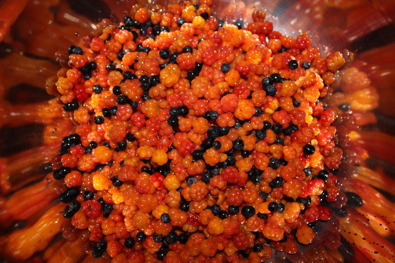 What Happens to The Body When You Eat Cloudberries 1280px Cloudberry and blueberry1