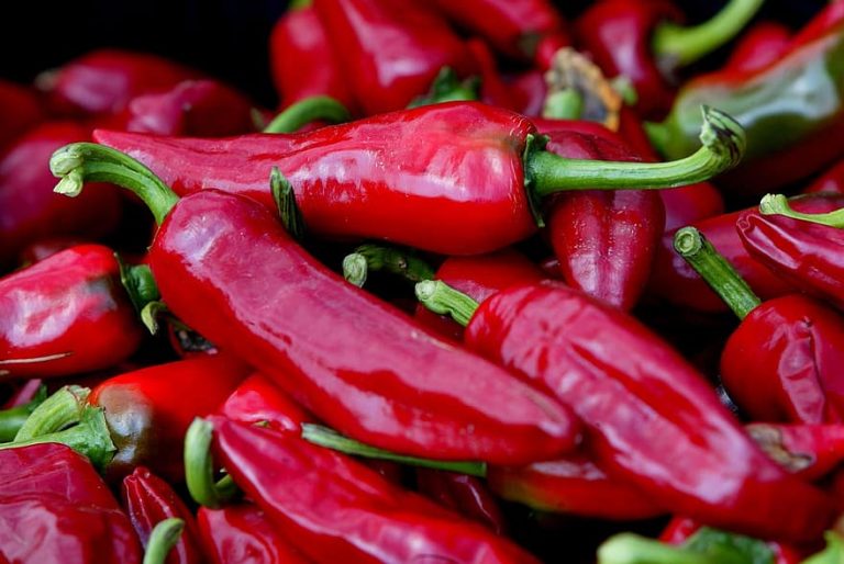 Erborian Red Pepper chili pepper espelette espelette pepper basque country1