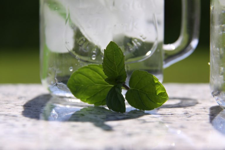 How to Force Yourself to Drink More Water mint 1378920 12801