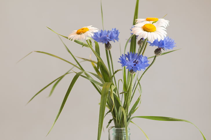 How to Extend the Life of a Flower Bouquet wild flowers bouquet flower vase still life birthday bouquet preview1