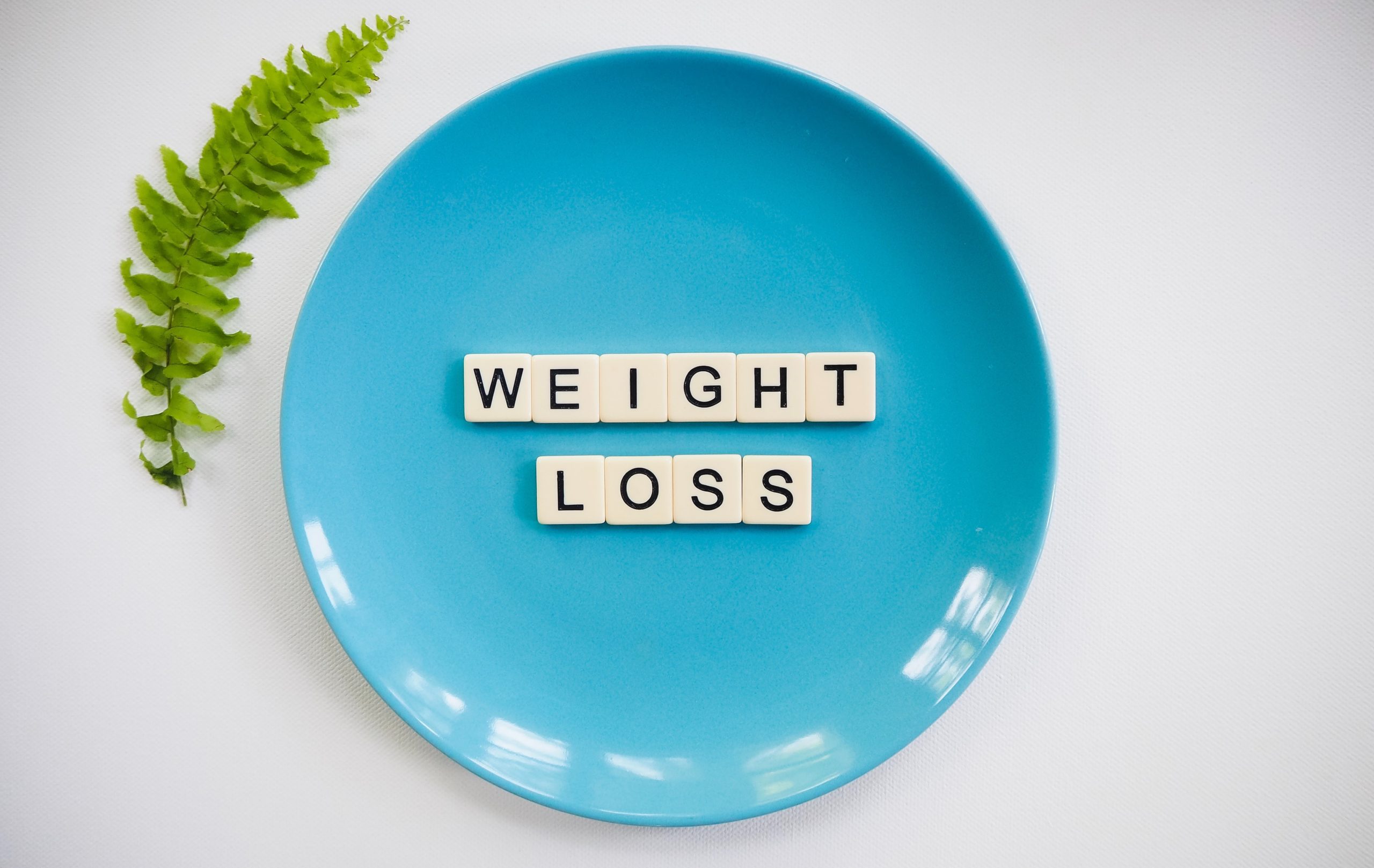 How To Lose 10 kg In Six Months wheight loss scaled