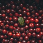 The Best Remedy For Immunity Is Cranberries: Proven By Doctors