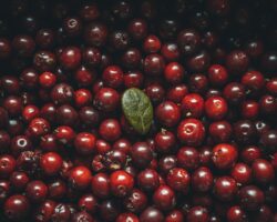 The Best Remedy For Immunity Is Cranberries: Proven By Doctors